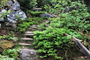 Bilde av Flautangen - Stien ned mot nord